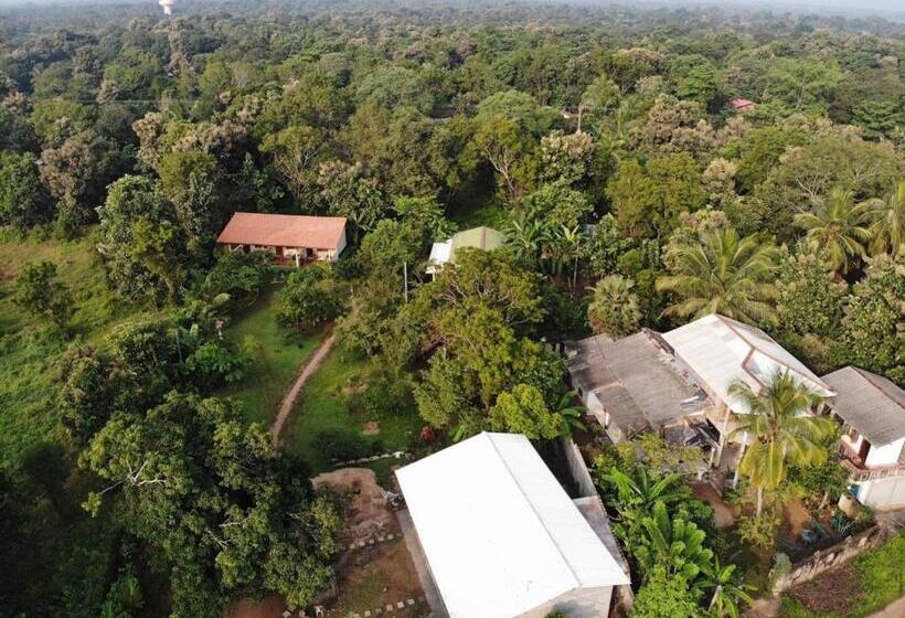 디럭스 룸, Udesh Guest