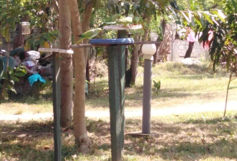 디럭스 룸, Udesh Guest