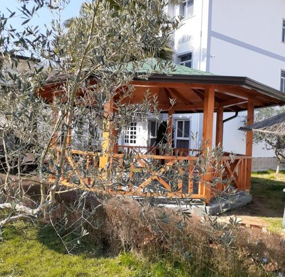 エコノミールーム, Villa Dede Nikolla