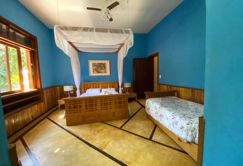 豪华套房, Espaço Tajj