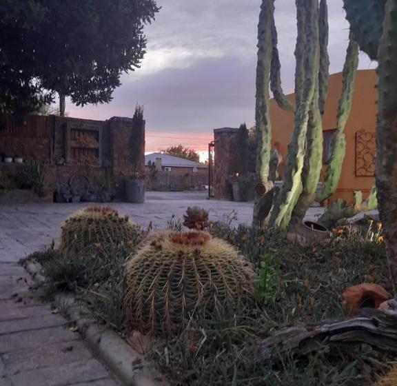 スタンダードルーム, Villa Contessa