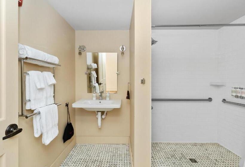 חדר סטנדרט, מיטת קינג, מותאם לאדם עם מוגבלויות, The Francis