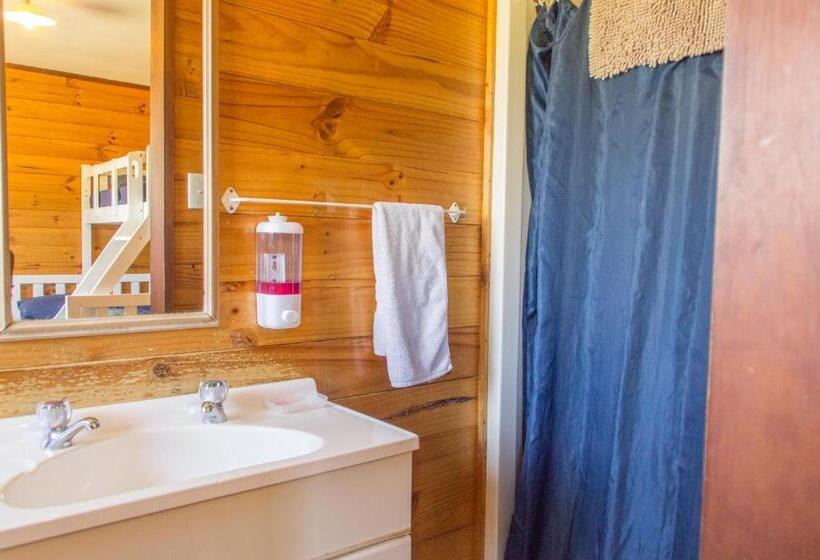 Четырехместный Номер Стандарт, Junohall Backpackers