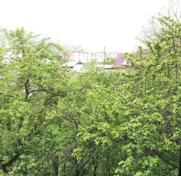 Standard-huone, Areguni Guest House