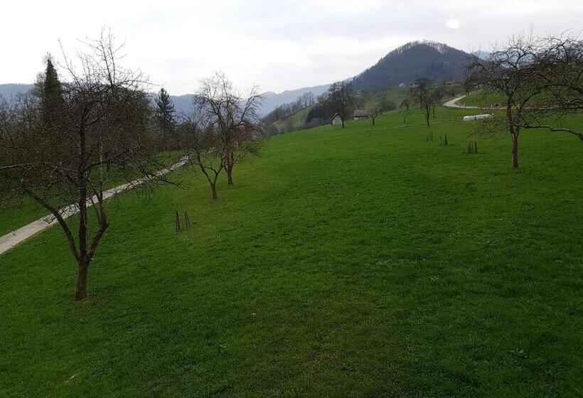 غرفة قياسية, Rooms Tolminska Korita