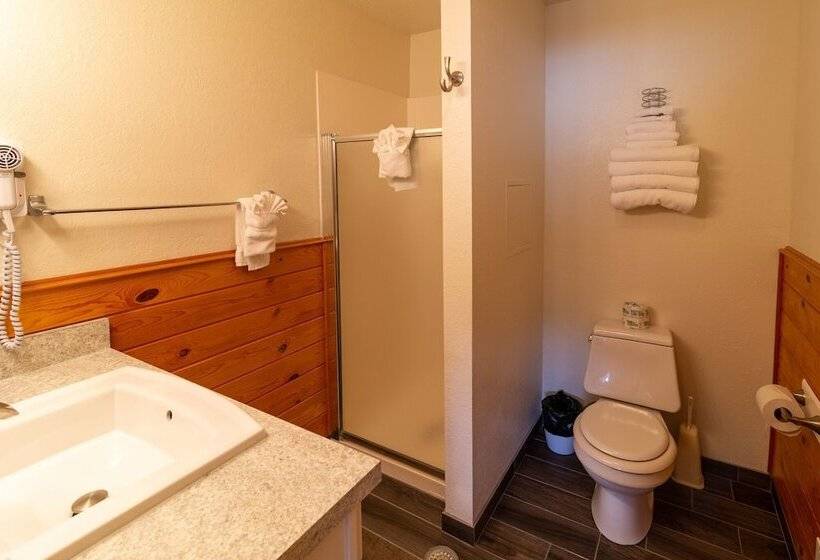 شقة غرفة واحدة, Sitzmark Sports Lodge