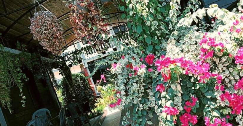 غرفة قياسية, Sal Riviera