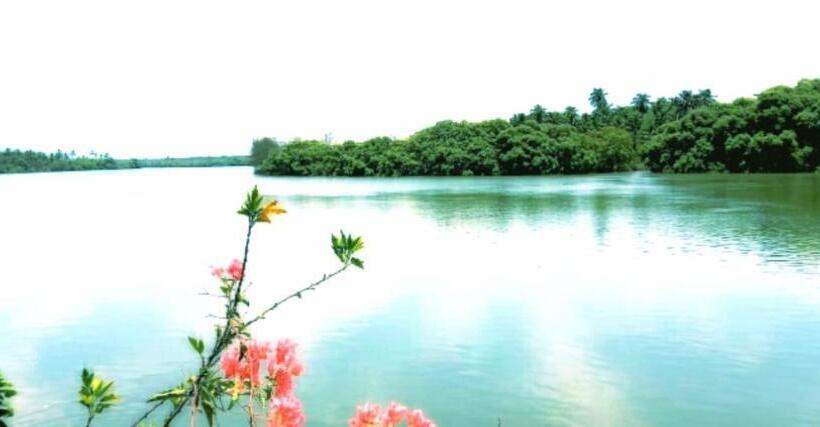 جناح مطل على البحر, Sal Riviera