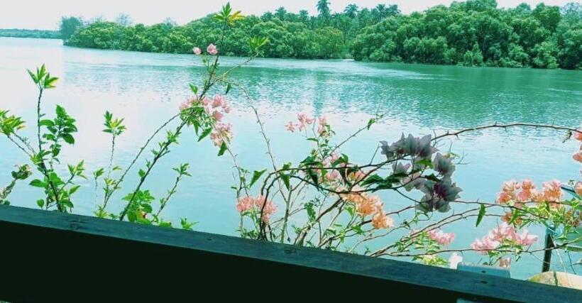 בקתת סופריור בת חדר 1, Sal Riviera