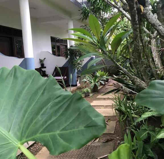 غرفة قياسية, Meritha