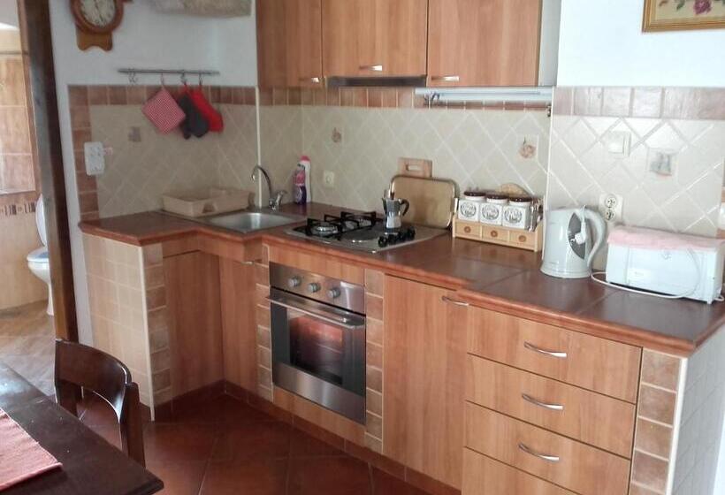 استودیوی استاندارد با چشمانداز دریا, Guest House Dragutinovic