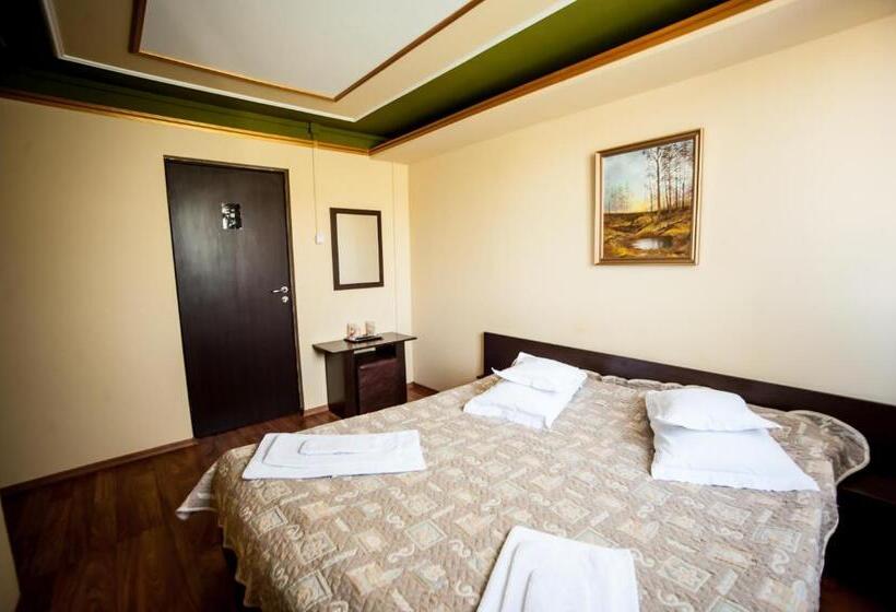 Номер Стандарт Вид на Сад, Pensiunea Morariu