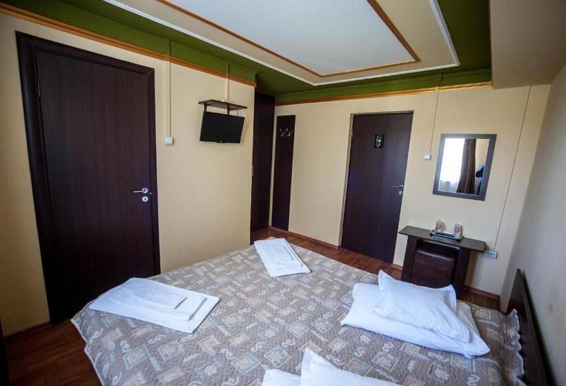 Номер Стандарт Вид на Сад, Pensiunea Morariu