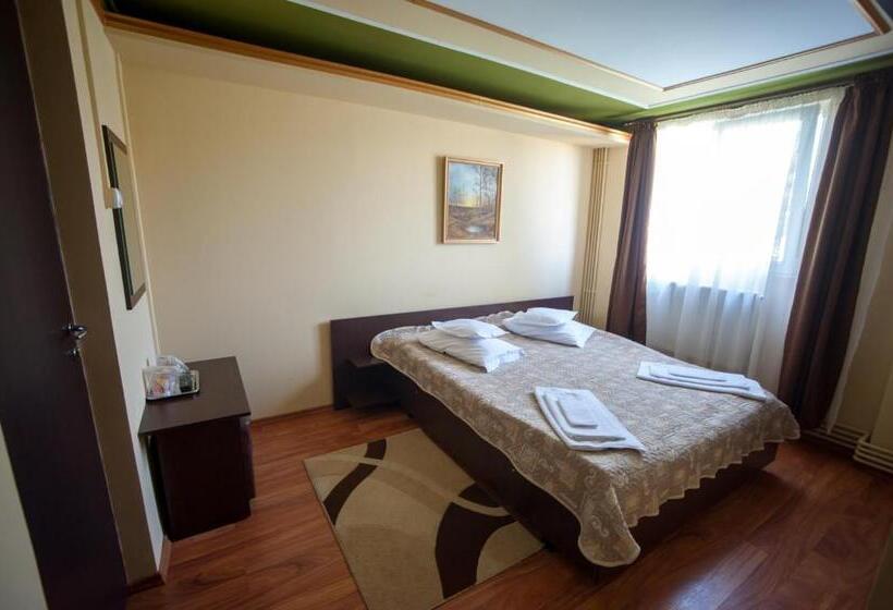 Номер Стандарт Вид на Сад, Pensiunea Morariu