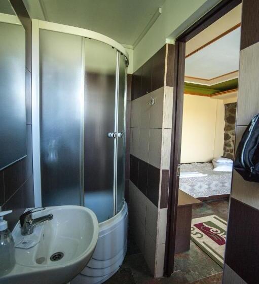 Номер Стандарт Вид на Сад, Pensiunea Morariu