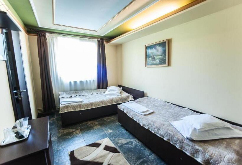 Номер Стандарт Вид на Сад, Pensiunea Morariu