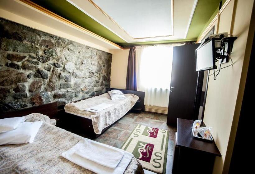 Номер Стандарт Вид на Сад, Pensiunea Morariu