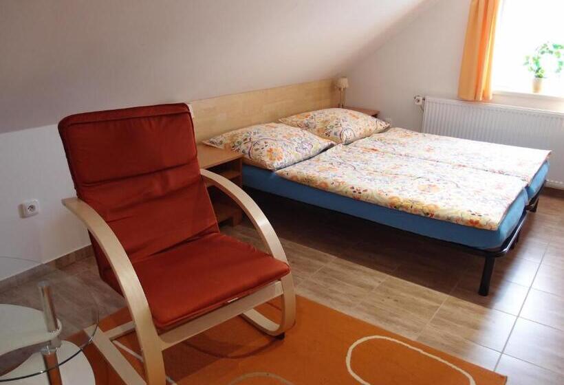 Студия Стандарт, Penzion Cabák