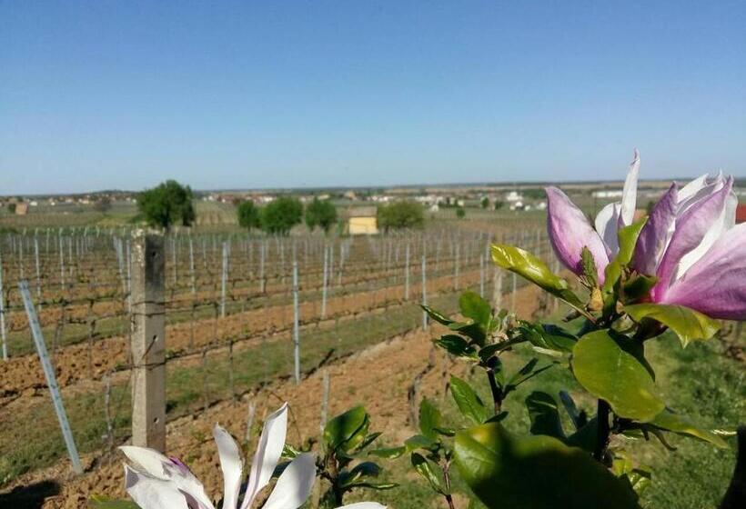 חדר סטנדרט נוף לגינה, Remete Lak