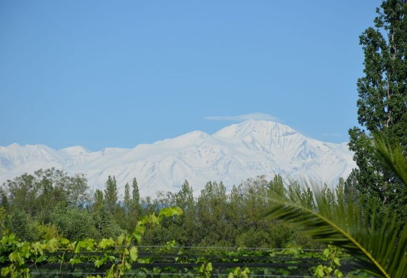 סוויטה דלוקס, Finca Fisterra