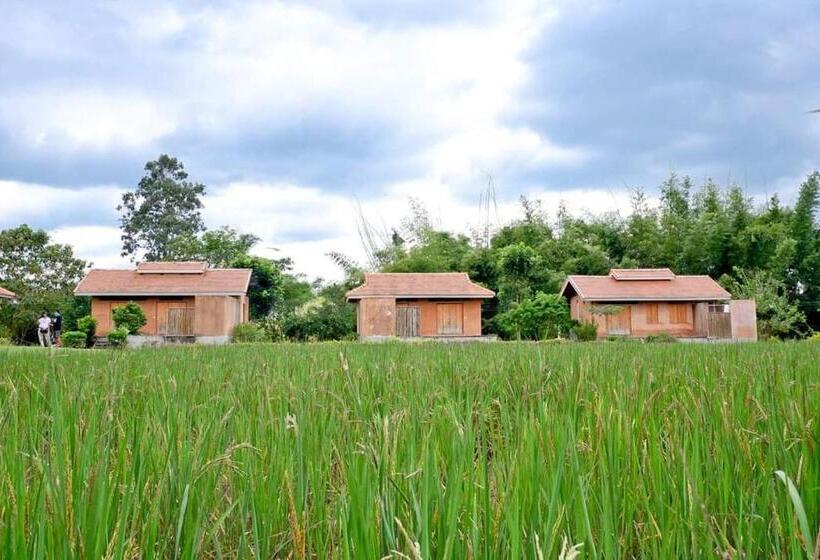 ビラホテル１ベッドルーム, Coolliving Farmhouse Organic