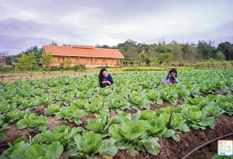 اتاق استاندارد با تخت بزرگ, Coolliving Farmhouse Organic