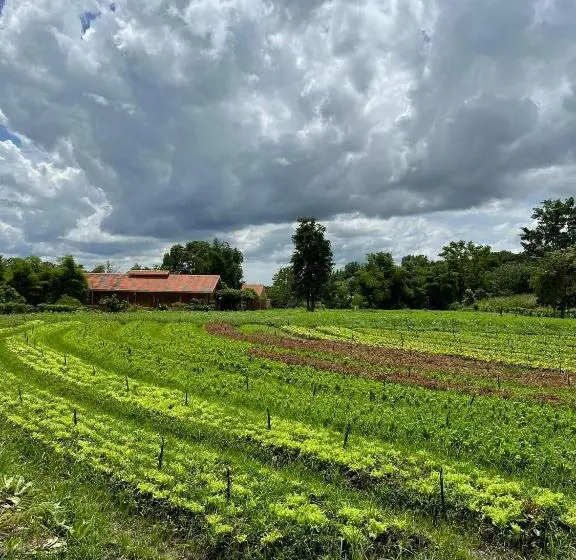 اتاق استاندارد با تخت بزرگ, Coolliving Farmhouse Organic