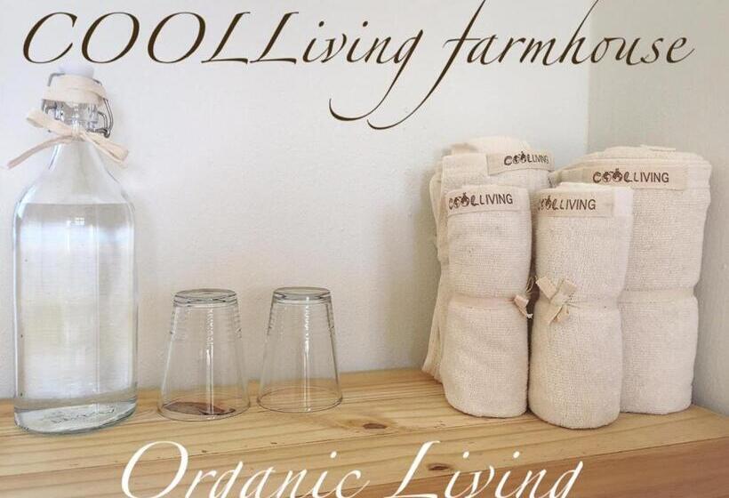キングサイズベッドのスタンダードルーム, Coolliving Farmhouse Organic