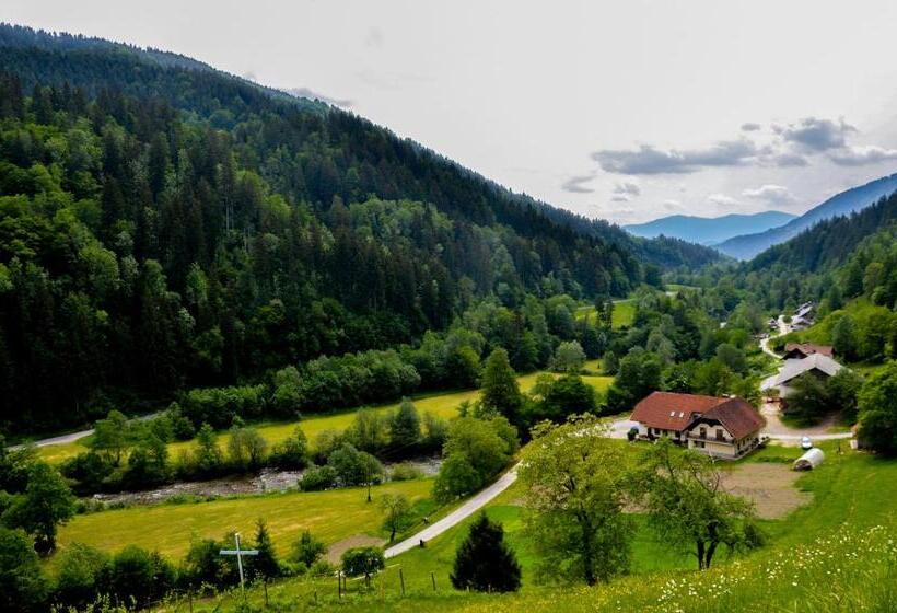 اتاق استاندارد با چشم‌انداز, Farm Stay Loger