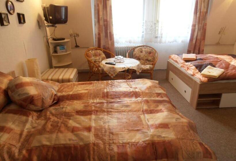 Camera Quadrupla Standard, Penzion Vlasta