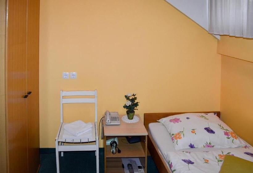 اتاق استاندارد یک نفره, Penzion Gostilna Keber