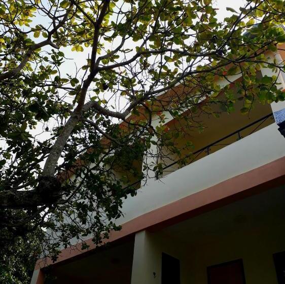 标准三人间, Pousada Café Do Brejo