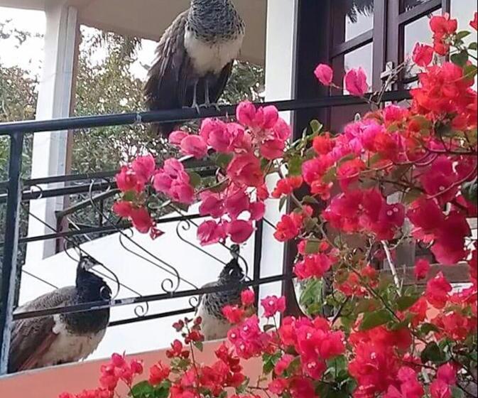 标准三人间, Pousada Café Do Brejo