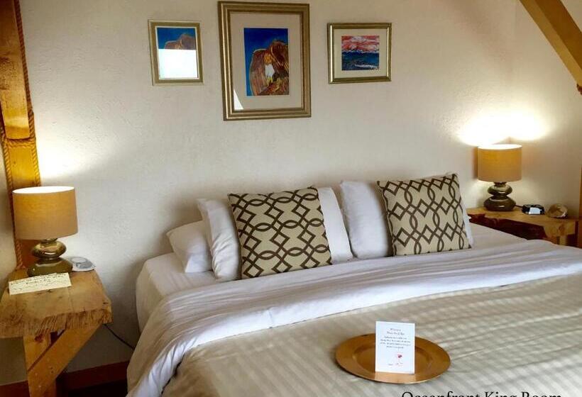 إستوديو قياسى مطل على البحر, Homer Inn & Spa