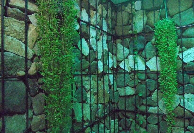 Номер Стандарт, Ath Hala Safari Resort