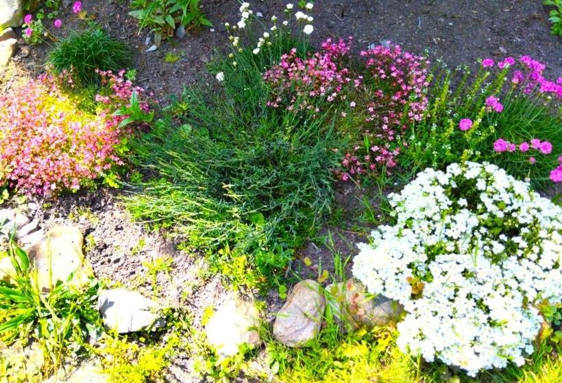 בית, חדר שינה 1, Penzion U Kozy