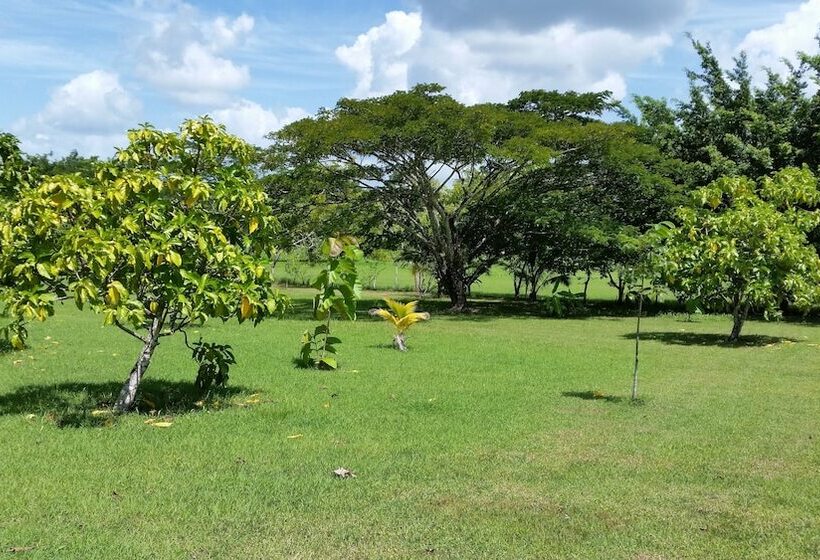 ガーデンビュースーペリアールーム, Rock Farm Guest House