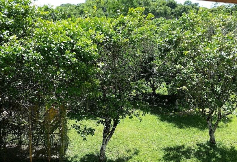 ガーデンビュースーペリアールーム, Rock Farm Guest House