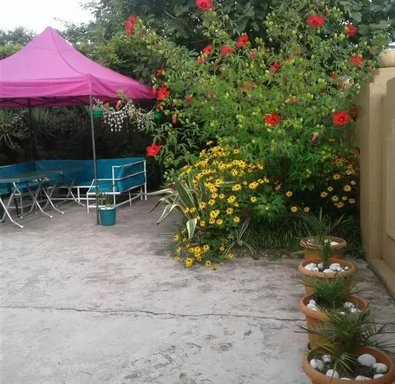اتاق استاندارد چهار تخته, Gonio Apsaros House