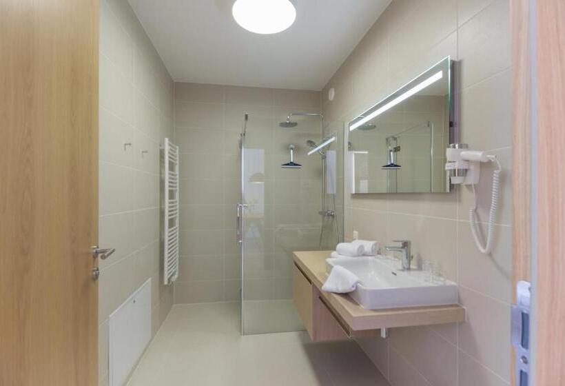 带1个卧室的公寓, Sun Lodge Schladming By Schladming Appartements