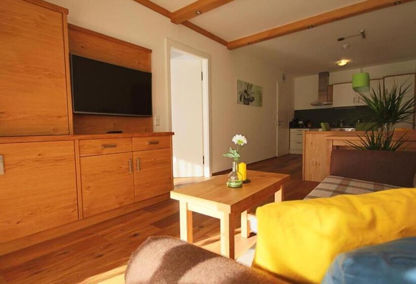 آپارتمان 1 خوابه, Sun Lodge Schladming By Schladming Appartements