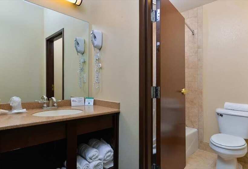 キングサイズベッドのスイートルーム, Blue Spruce Inn Meeker, Colorado