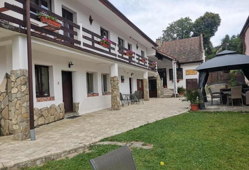 Номер Стандарт Вид на Горы, Guest House Piatra Craiului