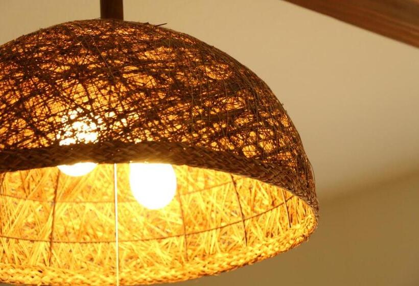 חדר אקונומי, Tanegashima Minshuku Hapisuma