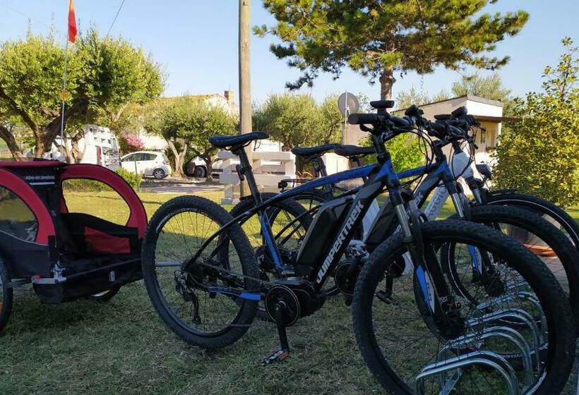 غرفة فردية  مطلة على الحديقة, Relais Il Giardino Fra Gli Ulivi