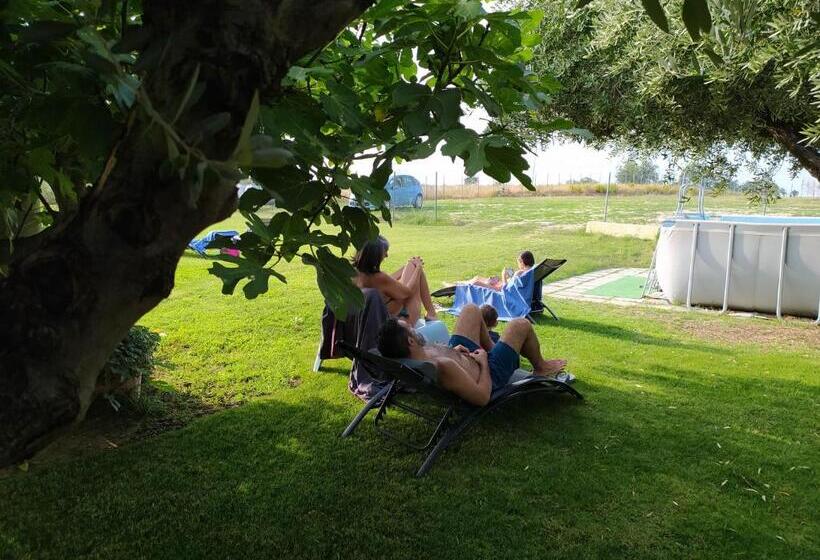 Одноместный Номер Вид на Сад, Relais Il Giardino Fra Gli Ulivi