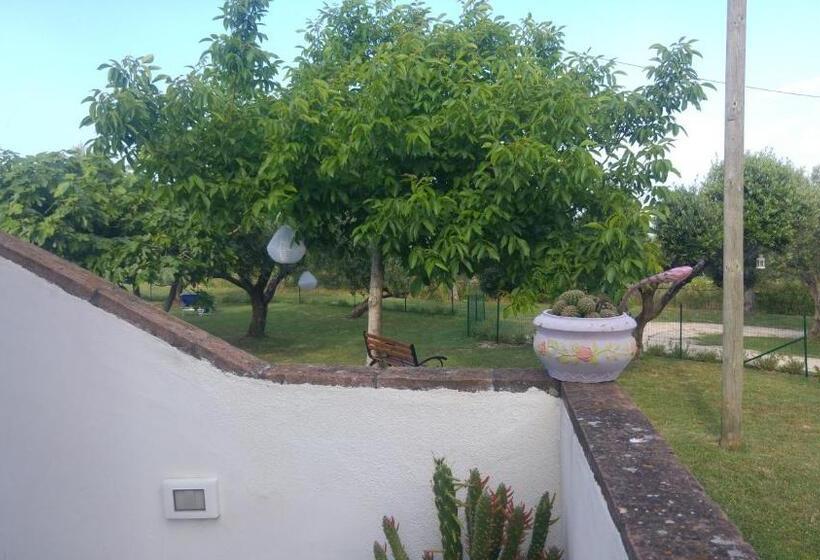 غرفة فردية  مطلة على الحديقة, Relais Il Giardino Fra Gli Ulivi