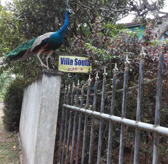 اتاق استاندارد با سرویس بهداشتی مشترک, Weligama Villa South
