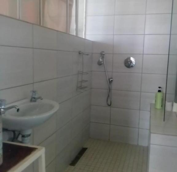 1间卧室的房子, Skyview Manor