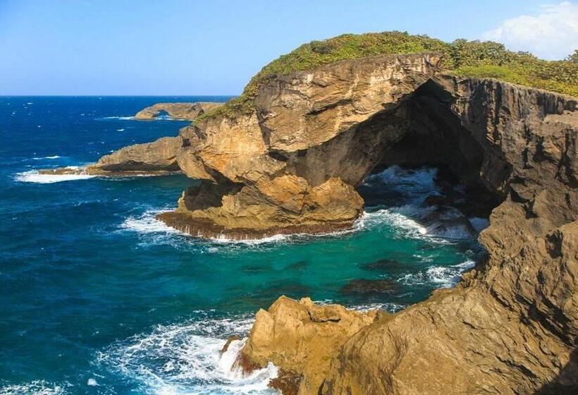 سوییت خانوادگی, Oceania Apartments At Arecibo 681 Ocean Drive